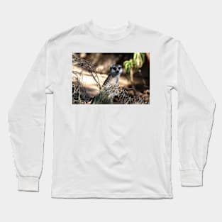 Meerkat In Hiding Long Sleeve T-Shirt